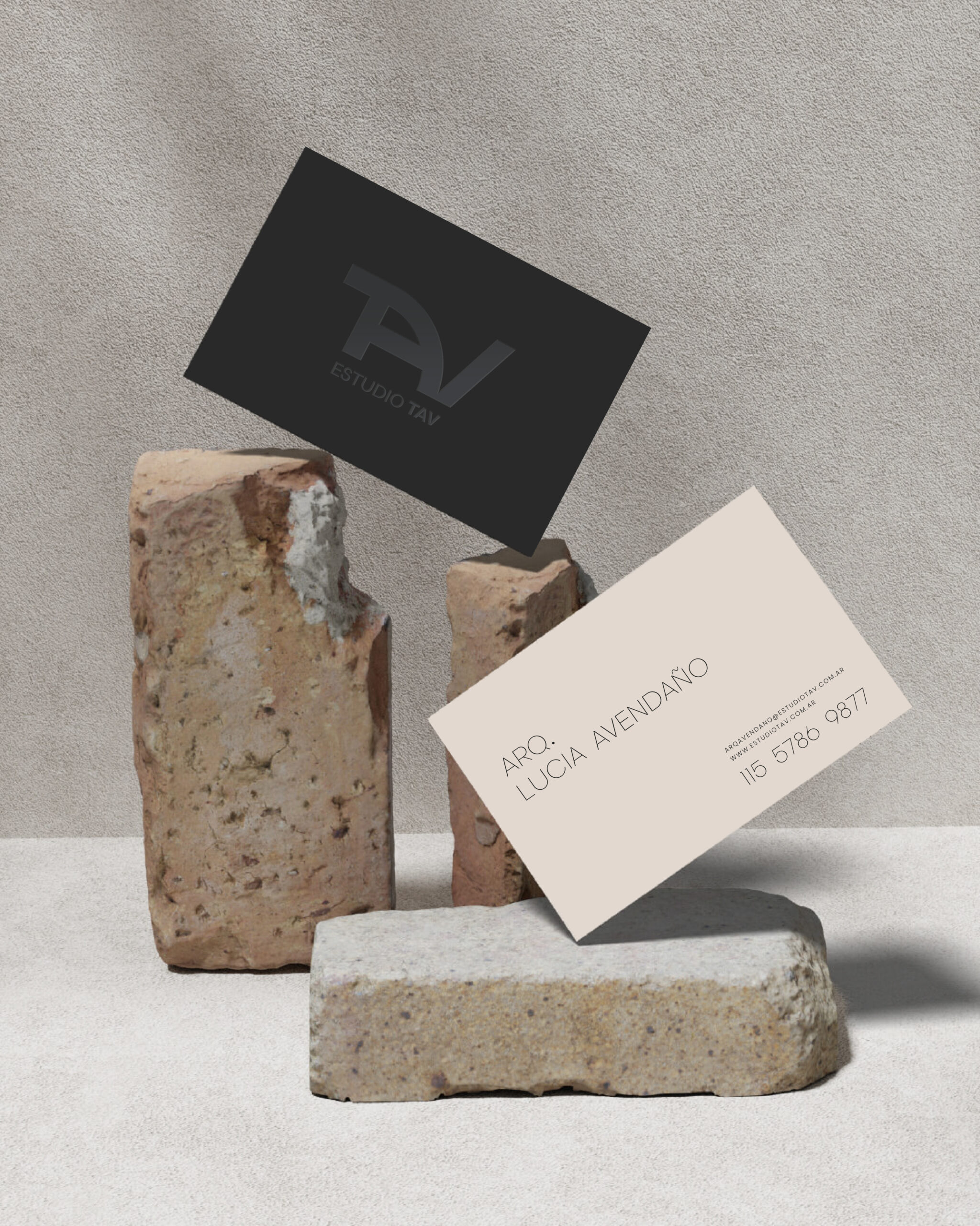 tarjeta-TAV